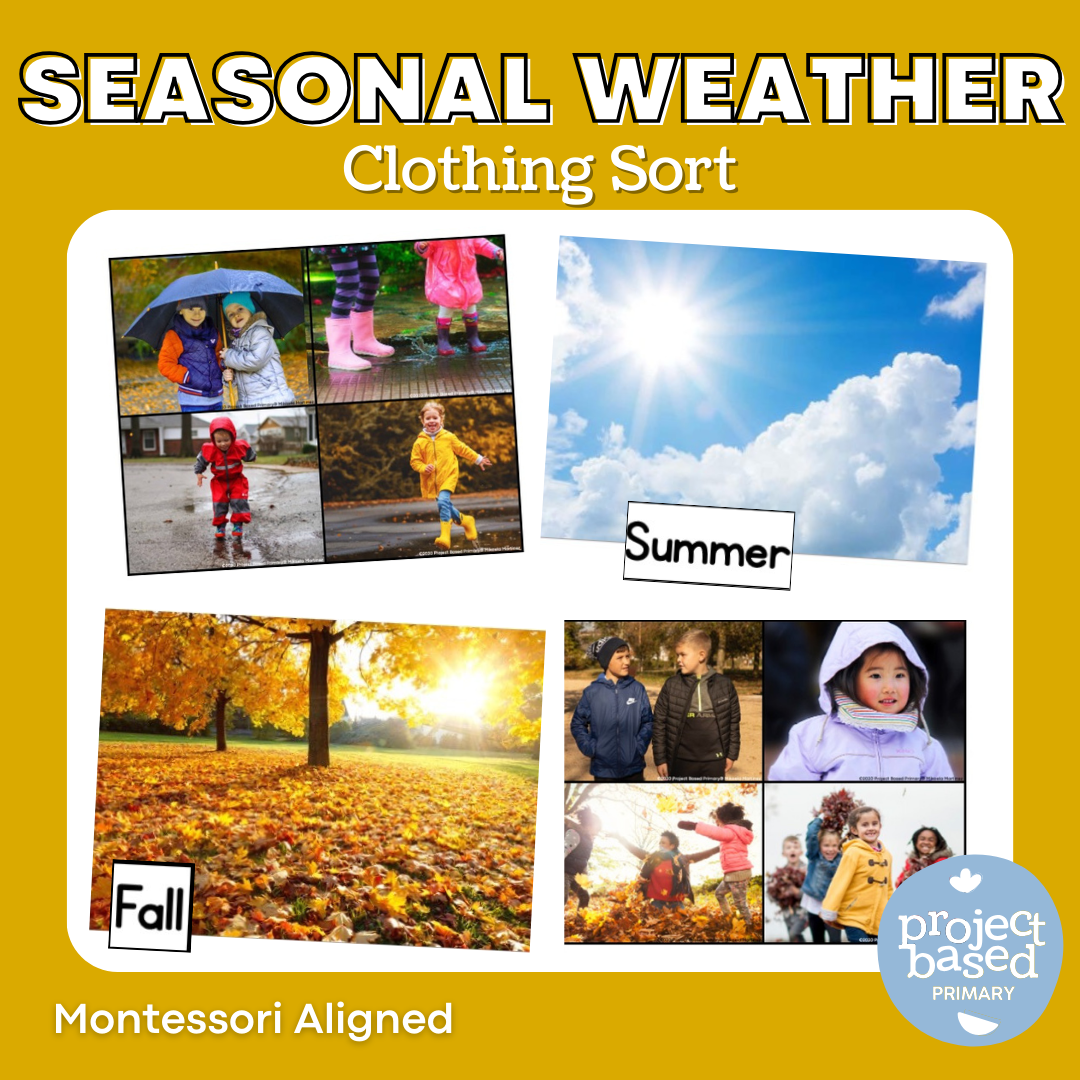 Seasonal Weather Clothing Sort
