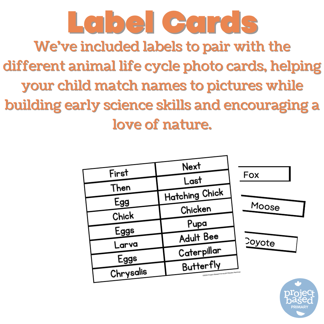 Life Cycles of Living Things