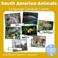 South American Animal Matching Cards