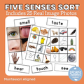 Five Senses Sorting Activity