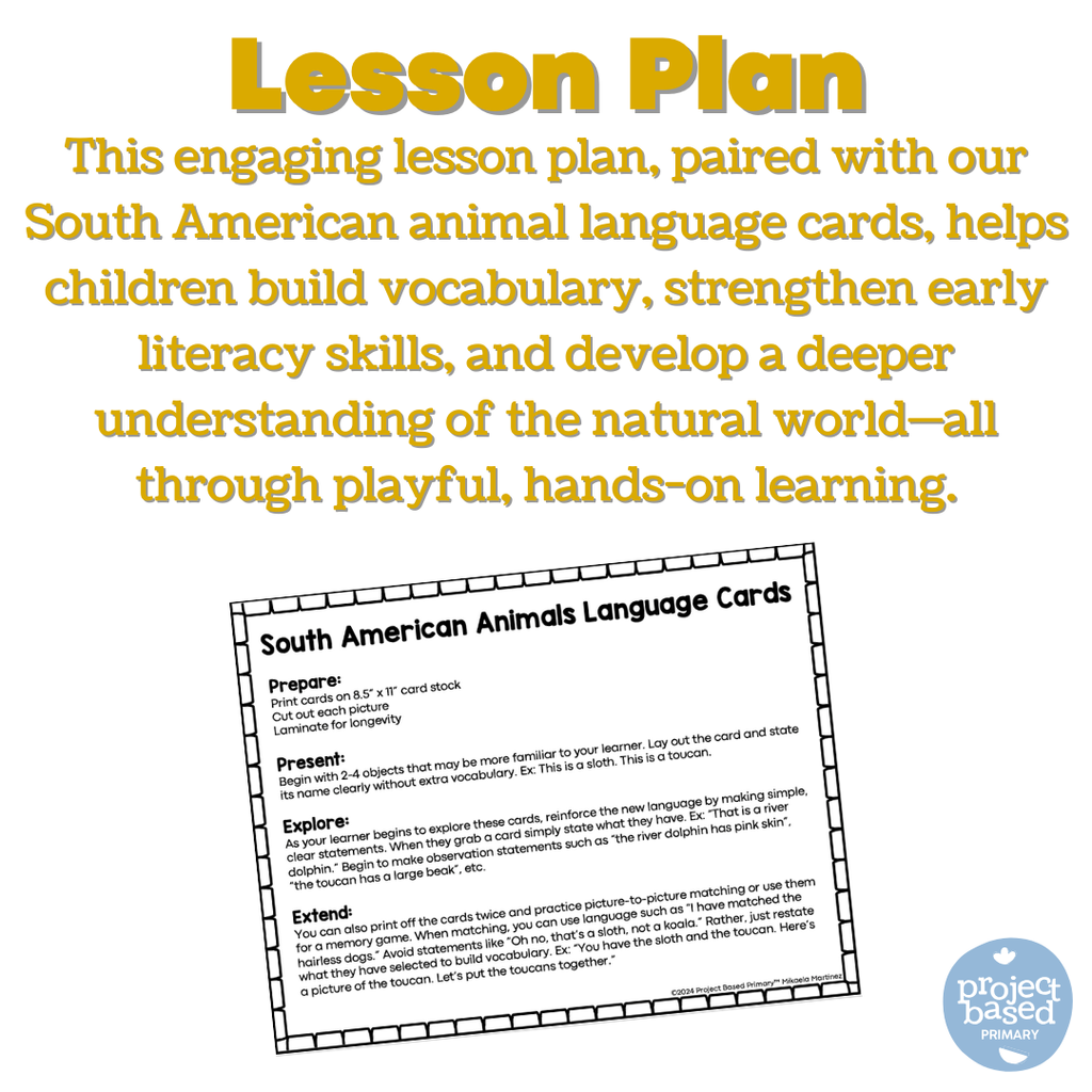 South American Animal Matching Cards