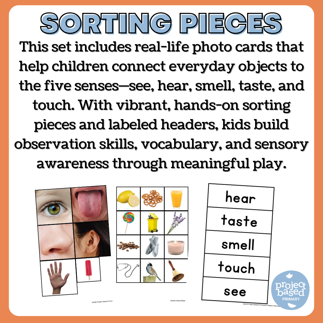 Five Senses Sorting Activity