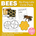 Bees No Prep Life Cycle Pack