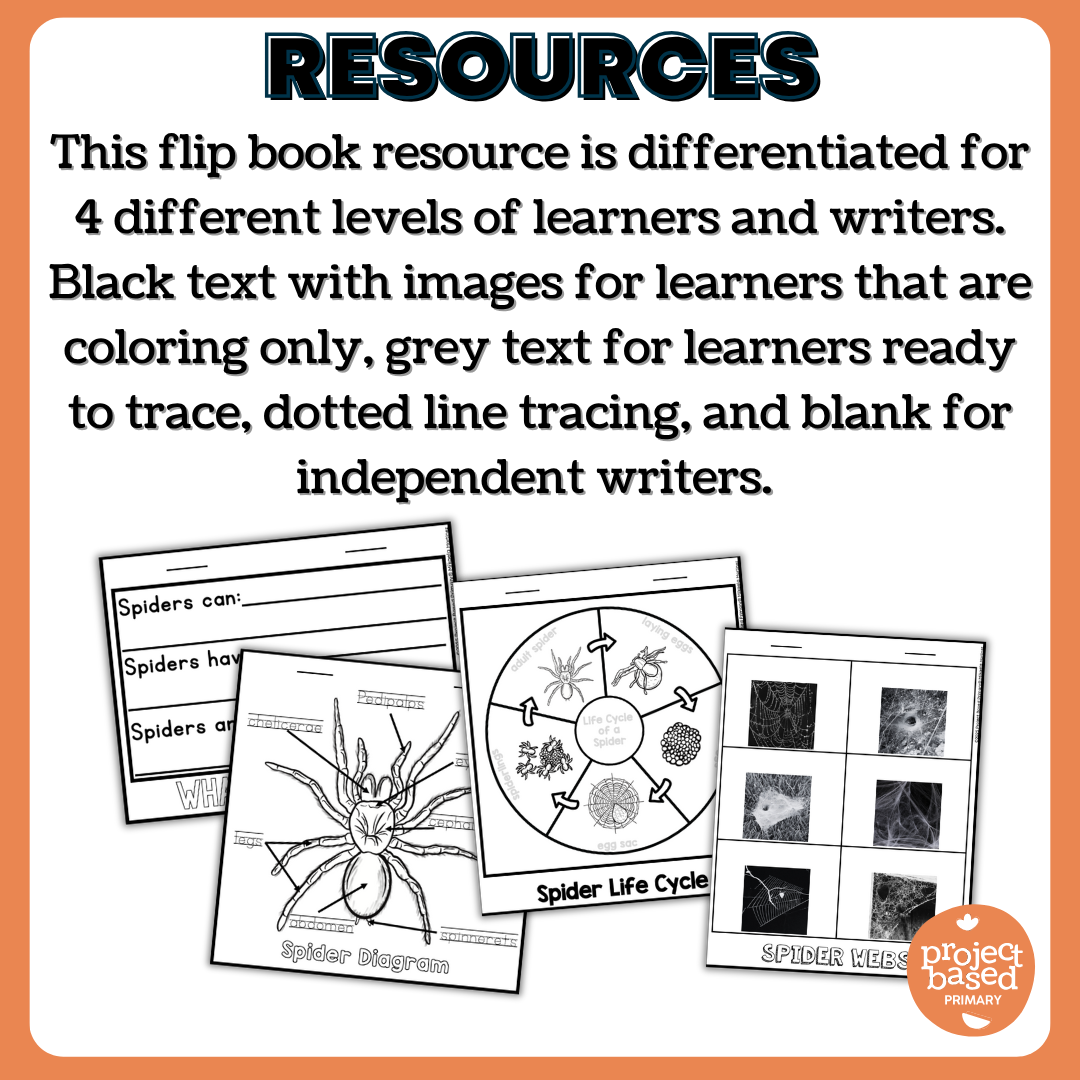 All About Spiders Flip Book