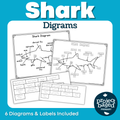 Shark Diagrams