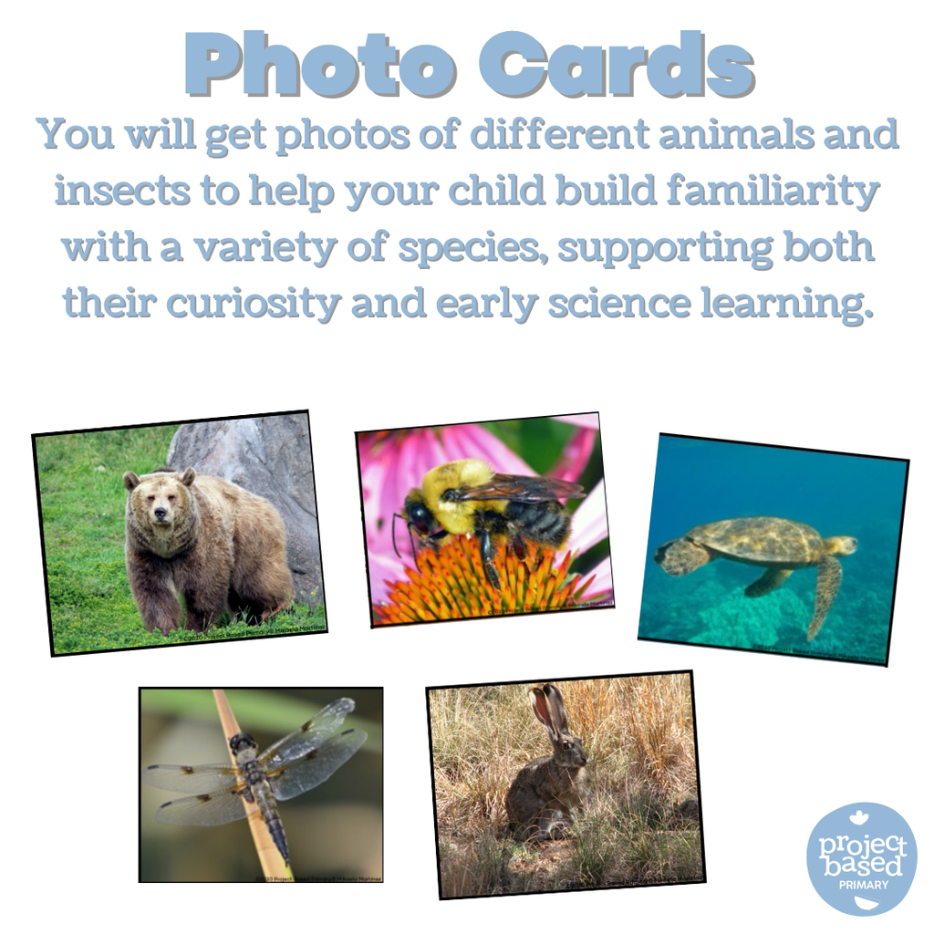 Montessori Animal Matching BUNDLE!