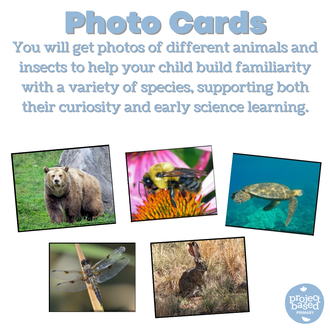 Montessori Animal Matching BUNDLE!