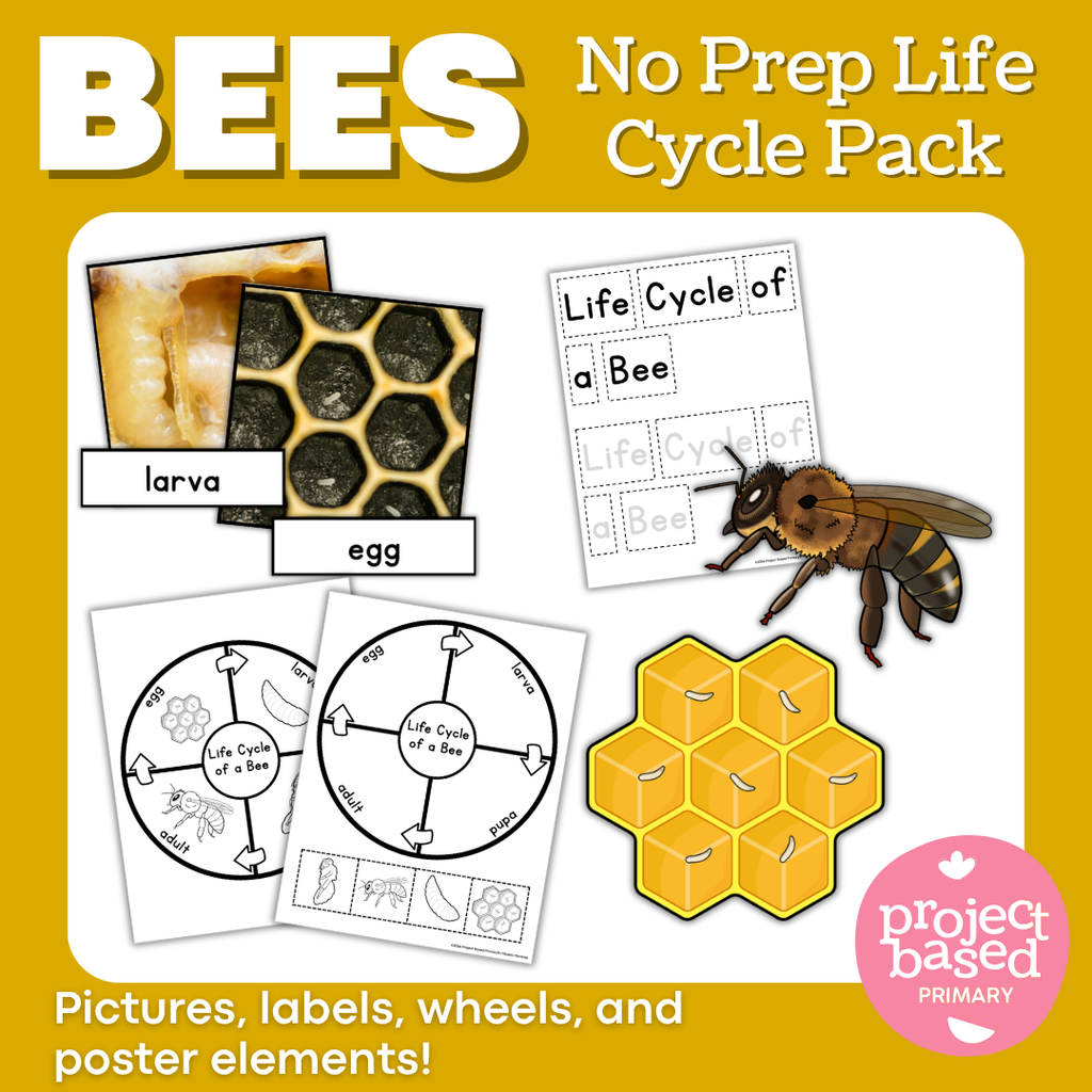 All About Bees Project Based Learning Research Bundle