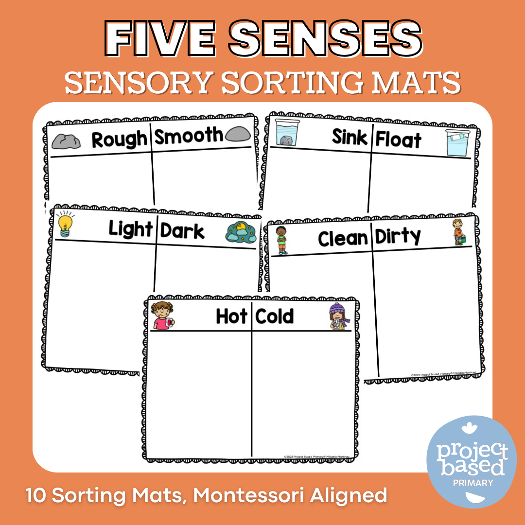 Sensory Five Senses Sorting Mats