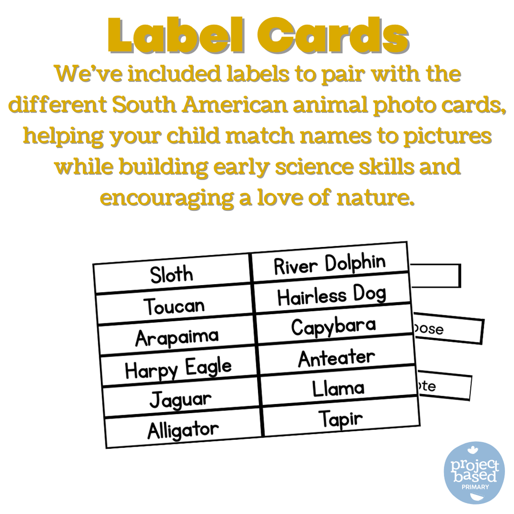 South American Animal Matching Cards