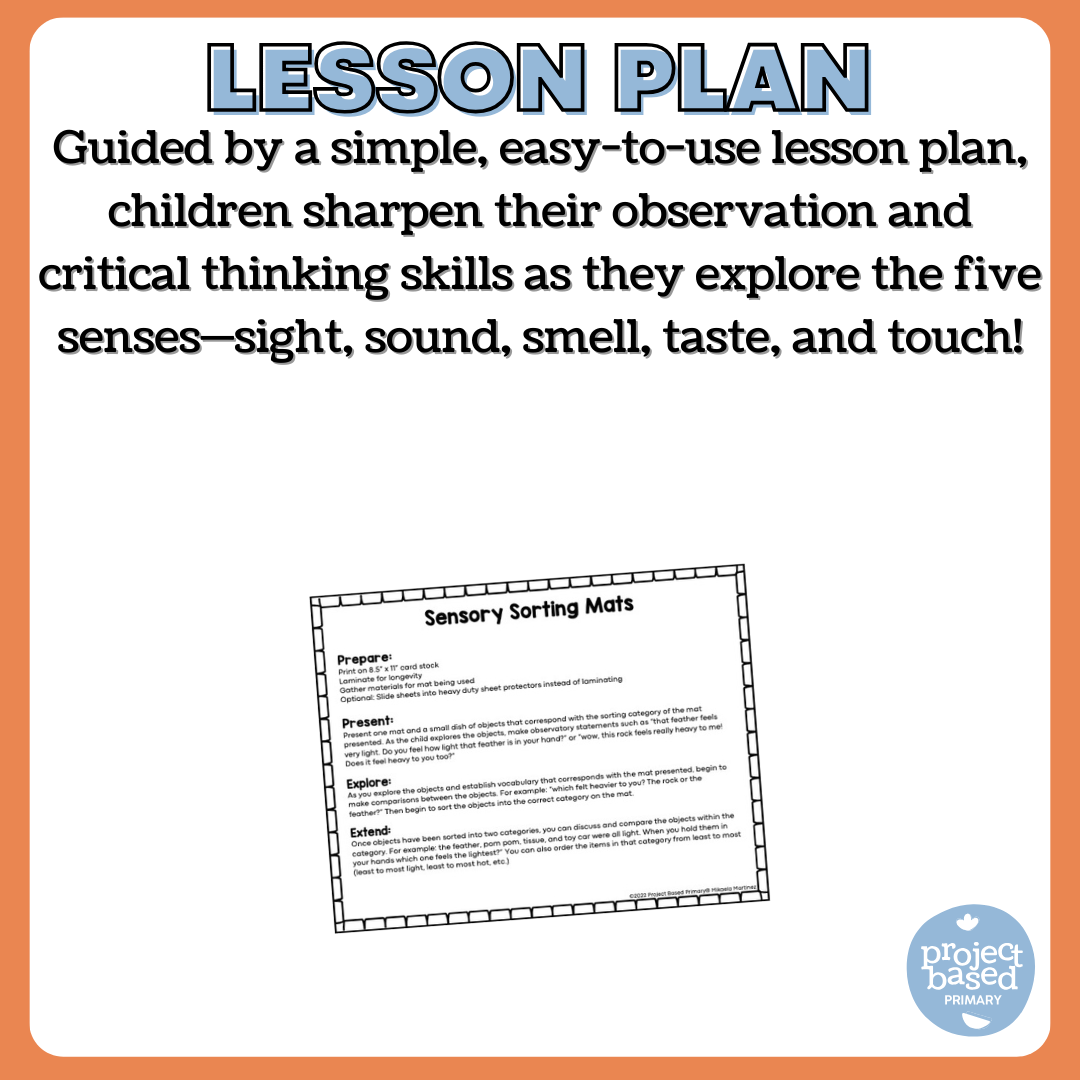 Sensory Five Senses Sorting Mats