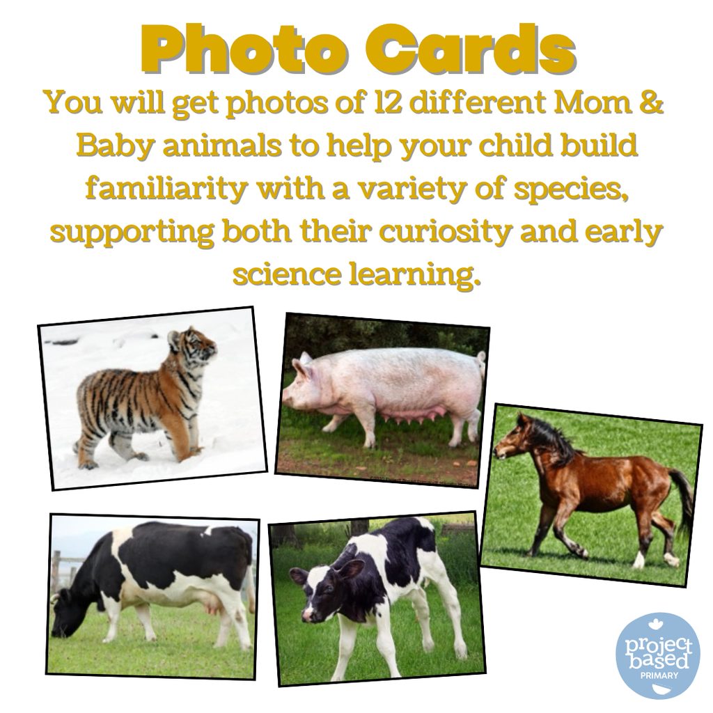 Mom & Baby Animal Matching Cards