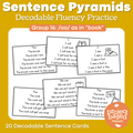 Decodable Sentence Fluency Pyramids Set 16 /oo/ as in "book"