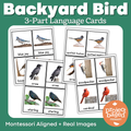 Backyard Birds 3 Part Cards