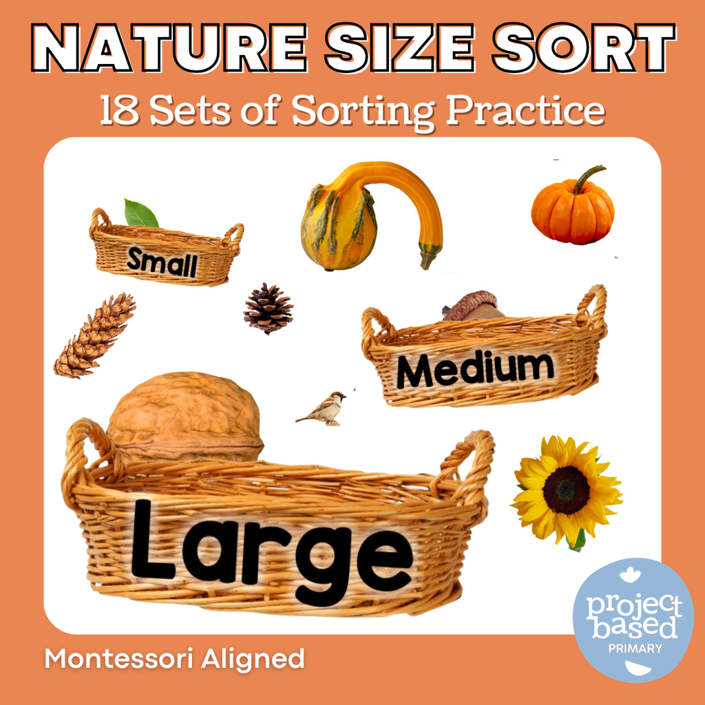 Nature Size Sorting