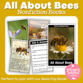All About Bees Nonfiction Book Mentor Text