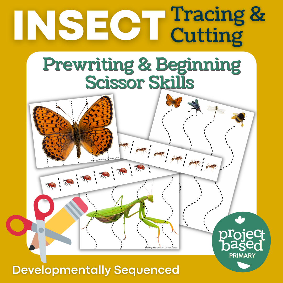 Insect Cutting & Writing Pathways