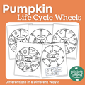 Pumpkin Life Cycle Wheels