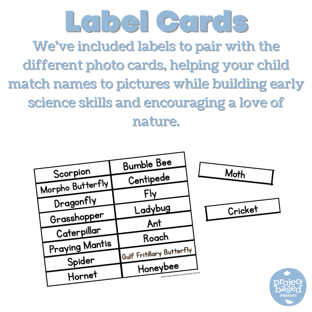 Montessori Animal Matching BUNDLE!