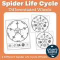 Spider Life Cycle Wheels