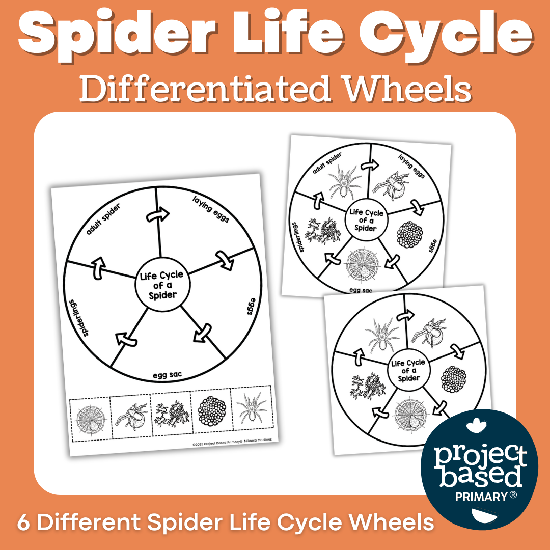 Spider Life Cycle Wheels