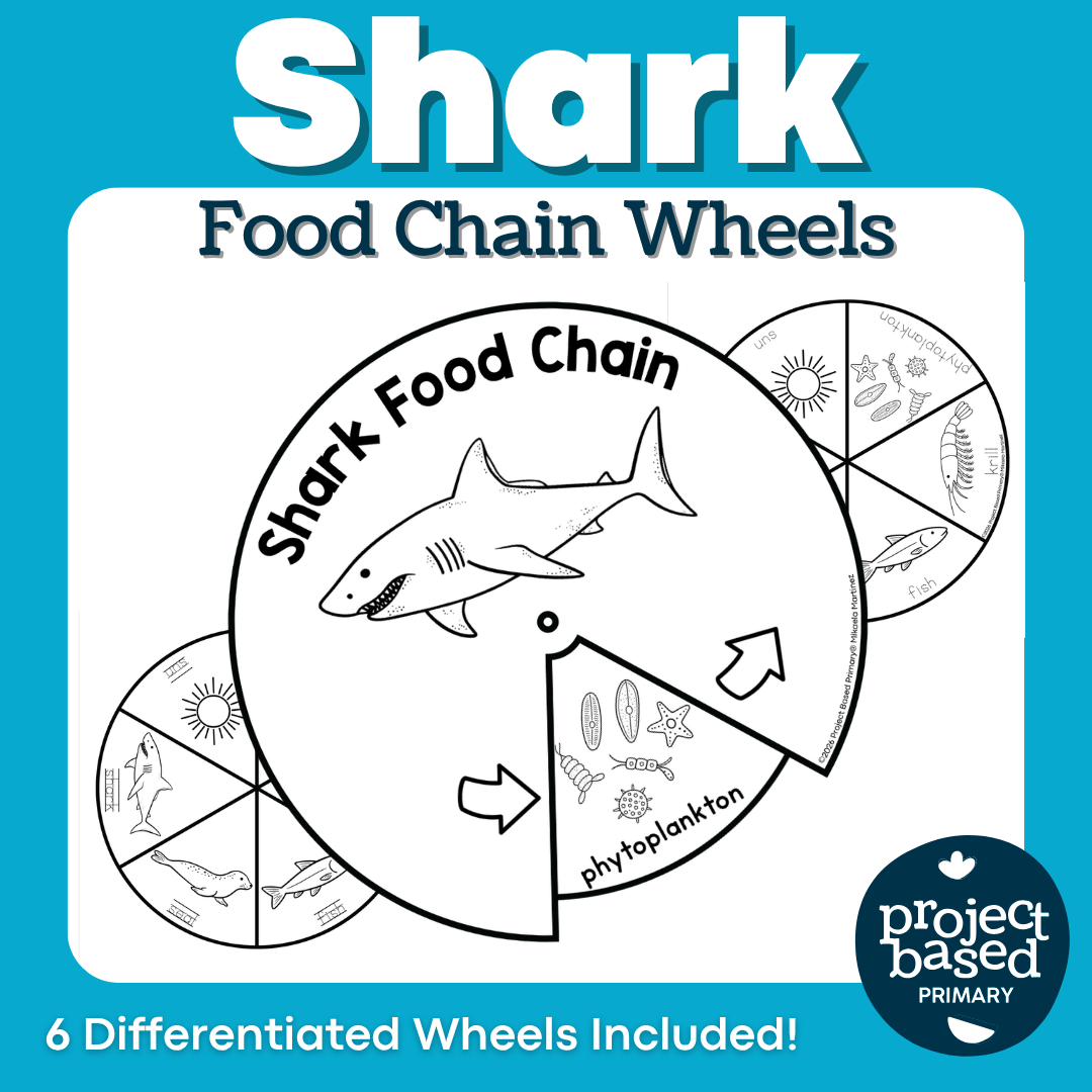 Shark Food Chain Wheels