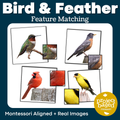Bird and Feather Match