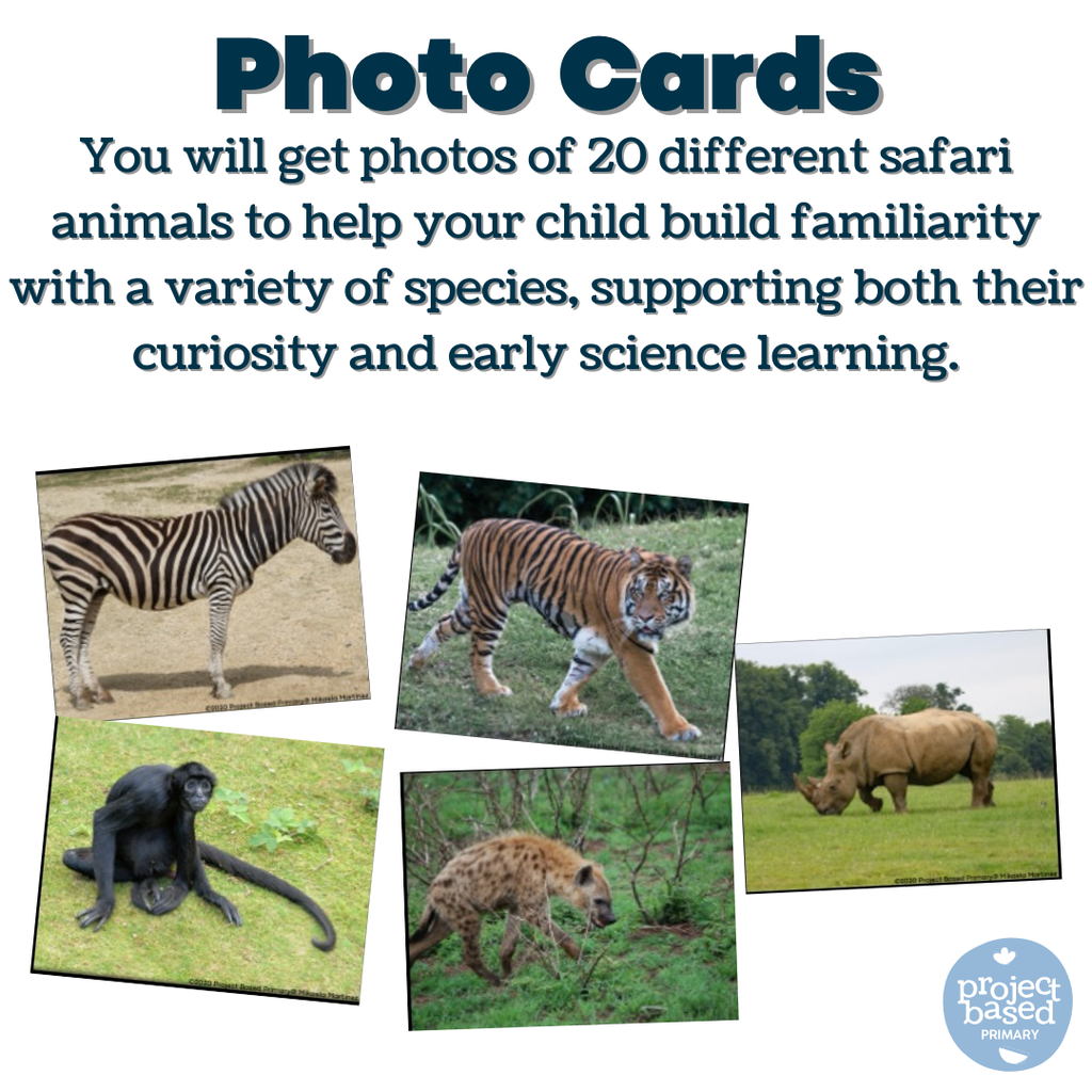 Safari Animal Matching Cards