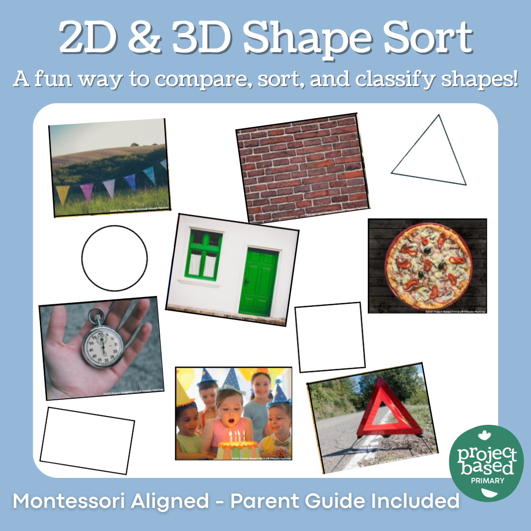 2D & 3D Shape Sort Montessori