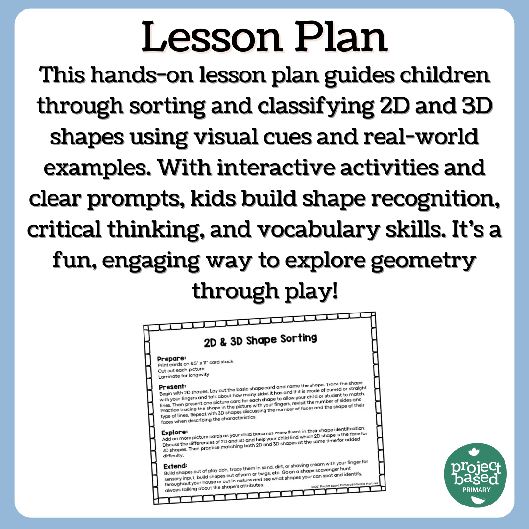 2D & 3D Shape Sort Montessori