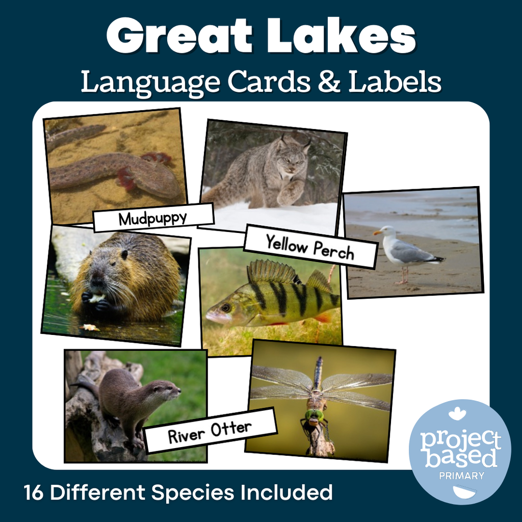 Great Lakes Animal Matching Cards