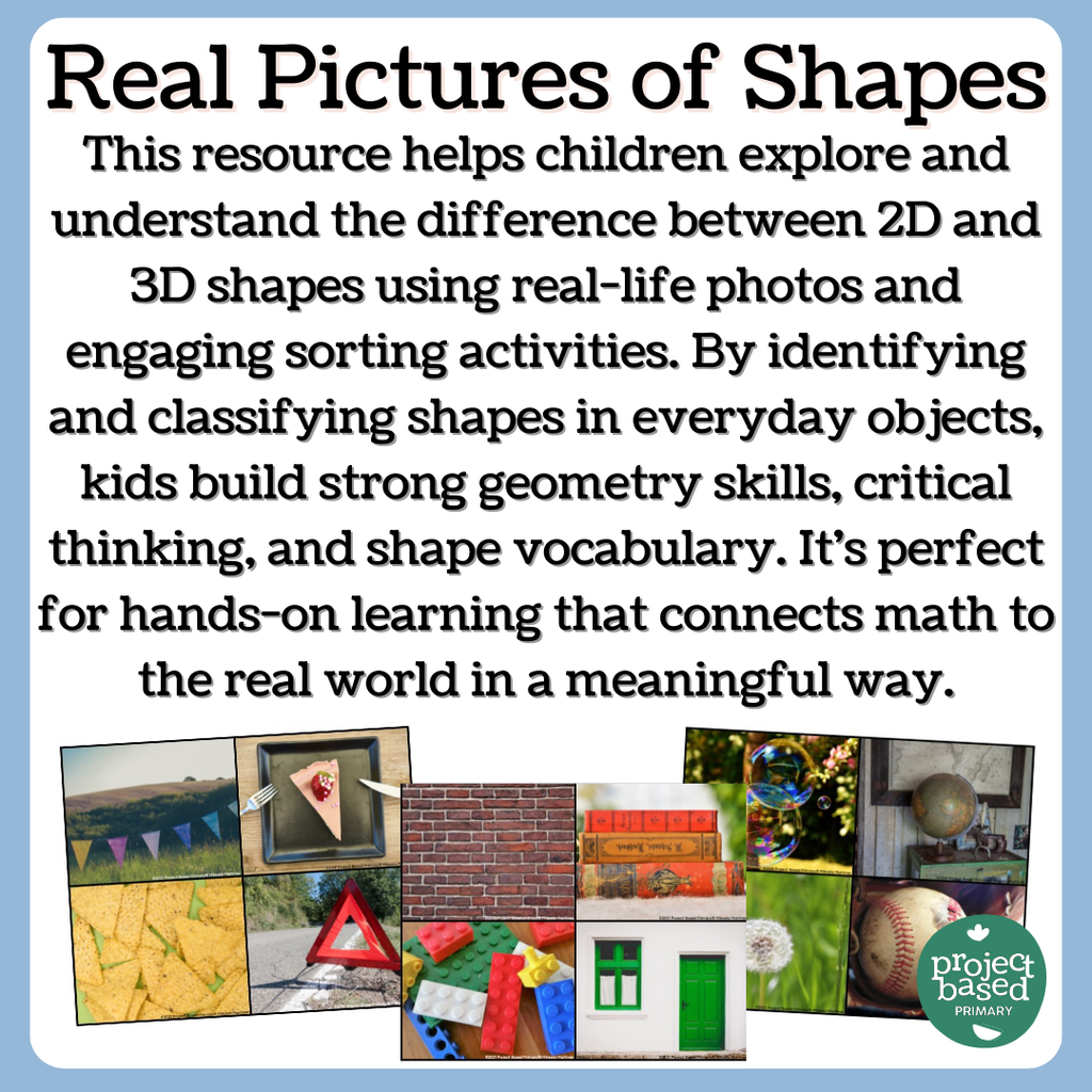 2D & 3D Shape Sort Montessori