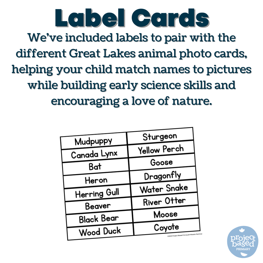 Great Lakes Animal Matching Cards