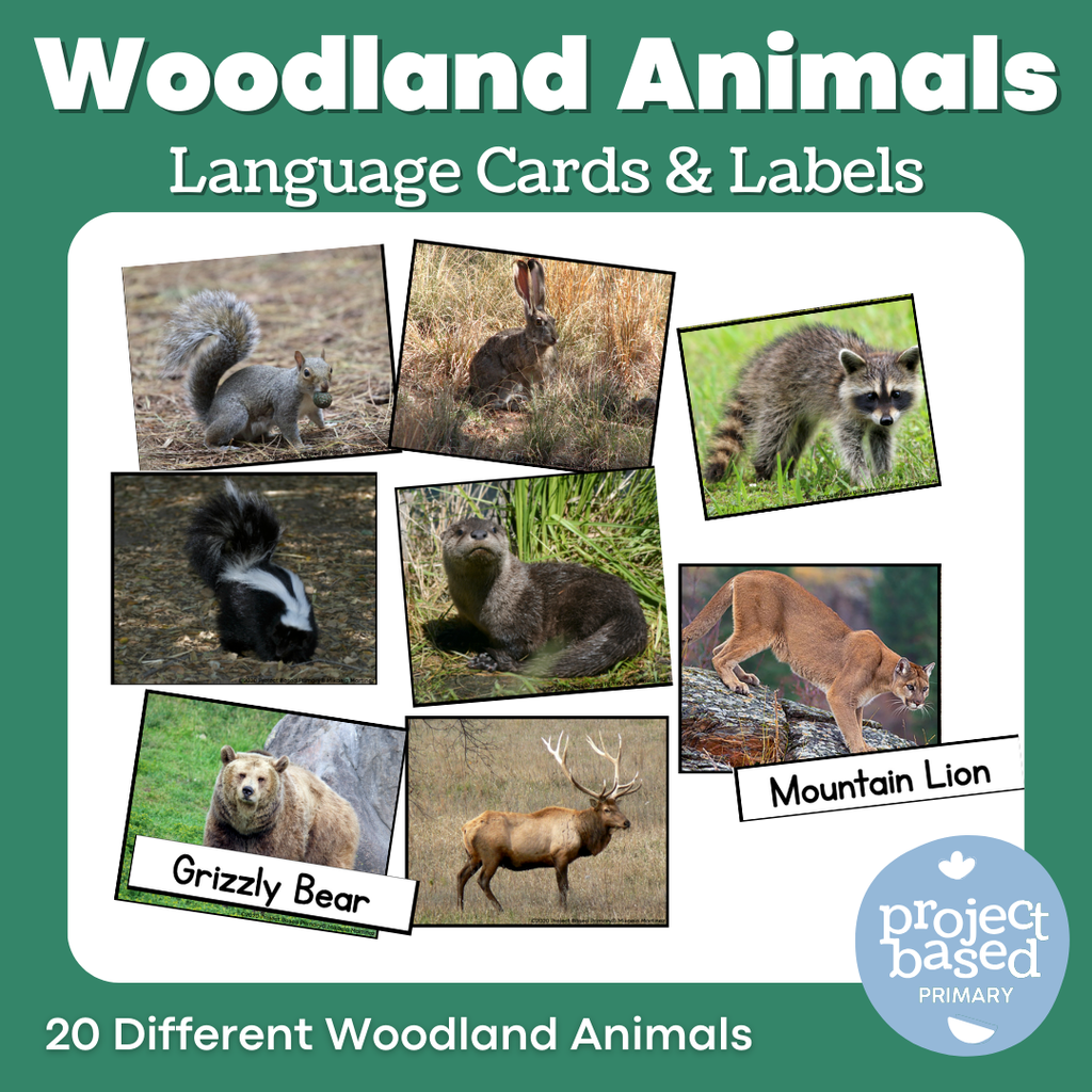Woodland Animal Matching Cards