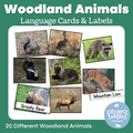 Woodland Animal Matching Cards