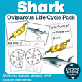 Shark Oviparous Life Cycle Pack