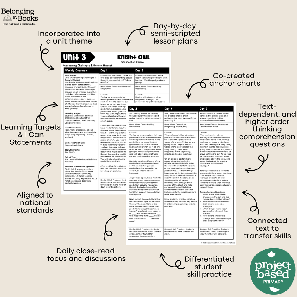 Knight Owl Belonging in Books™ Reading Comprehension Week-Long Unit
