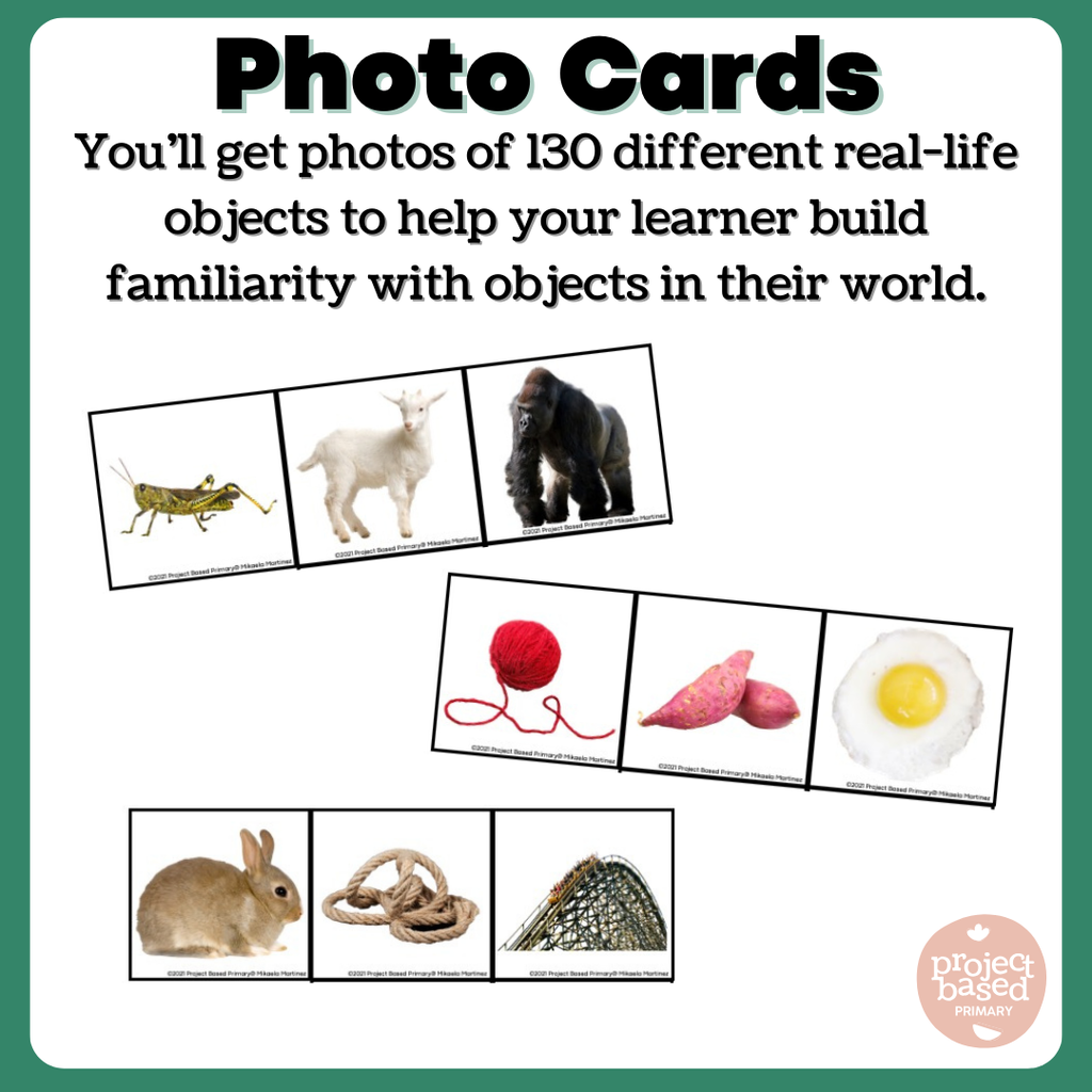 Beginning Sound Sort