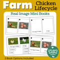 Chicken Lifecycle Mini Books
