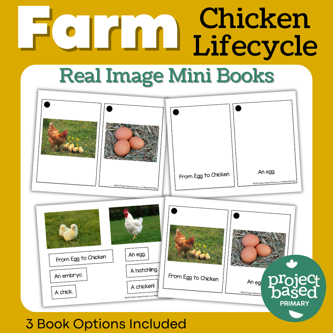 Chicken Lifecycle Mini Books