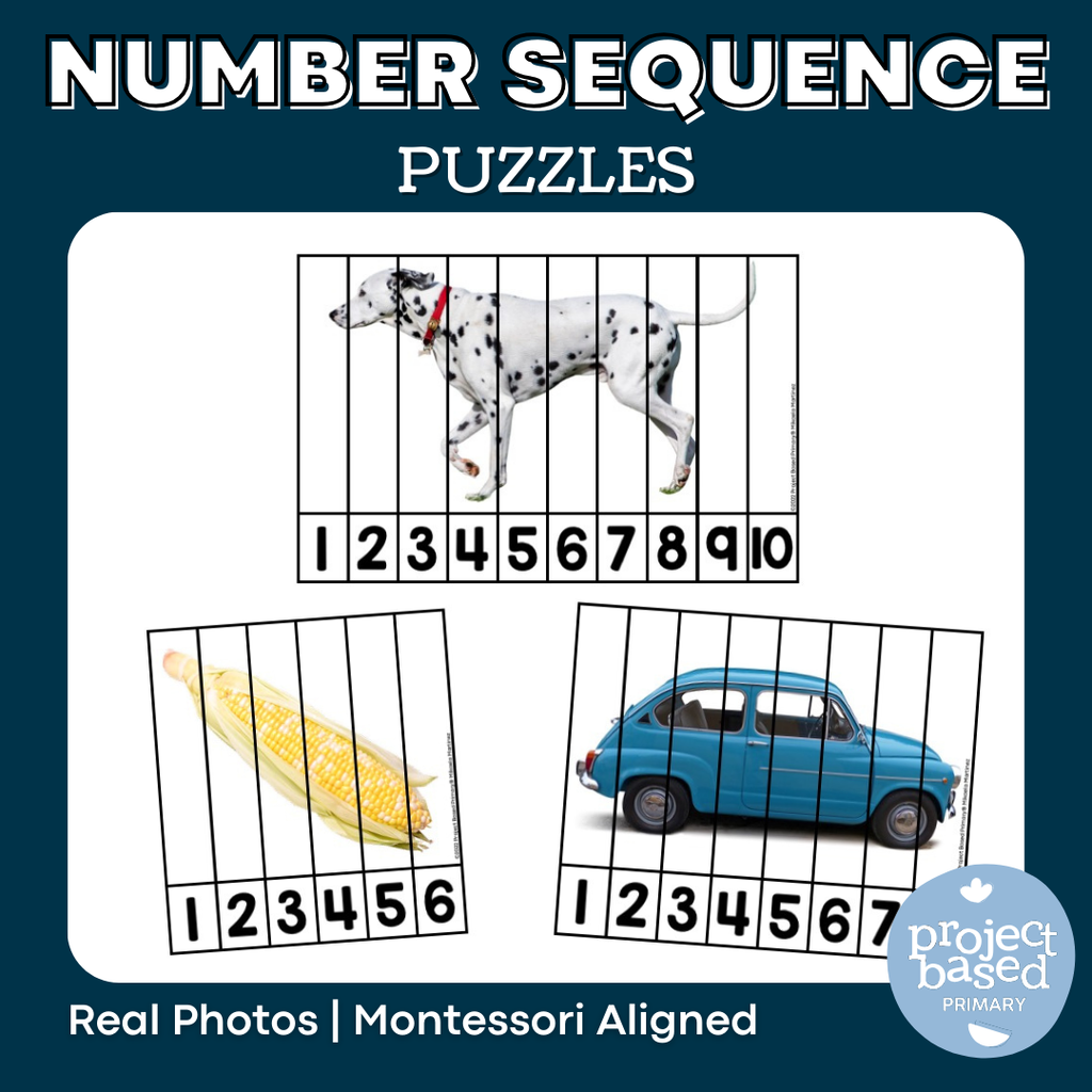 Number Sequencing Puzzles