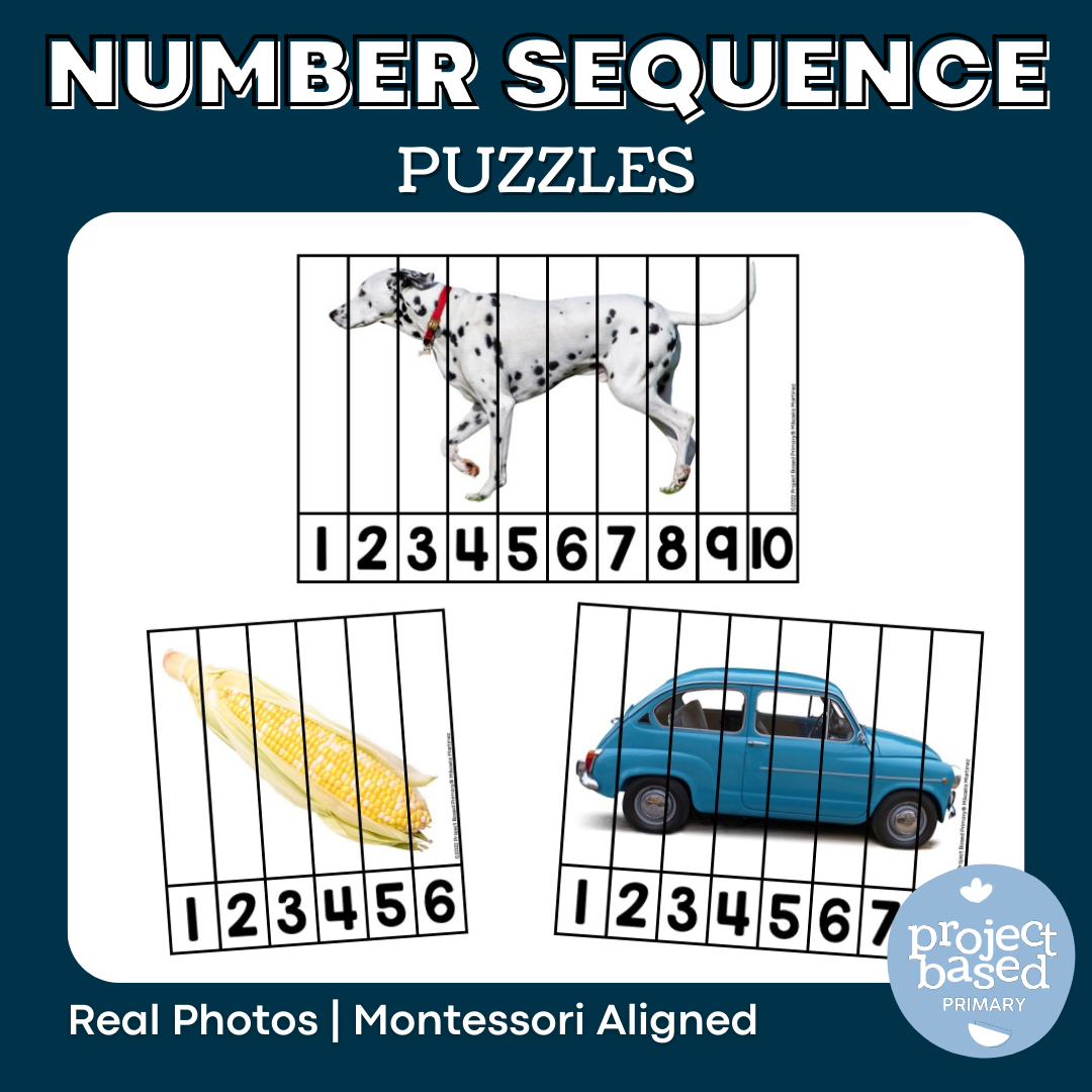 Number Sequencing Puzzles