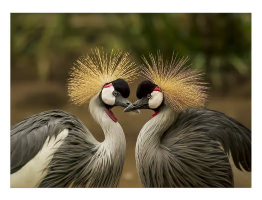 Beginning Numbers and Counting Center Materials Pack