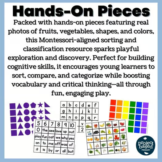 Sorting & Classification Montessori Sorting Mats