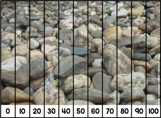 Skip Counting Puzzles | Repeated Addition | Beginning Multiplication