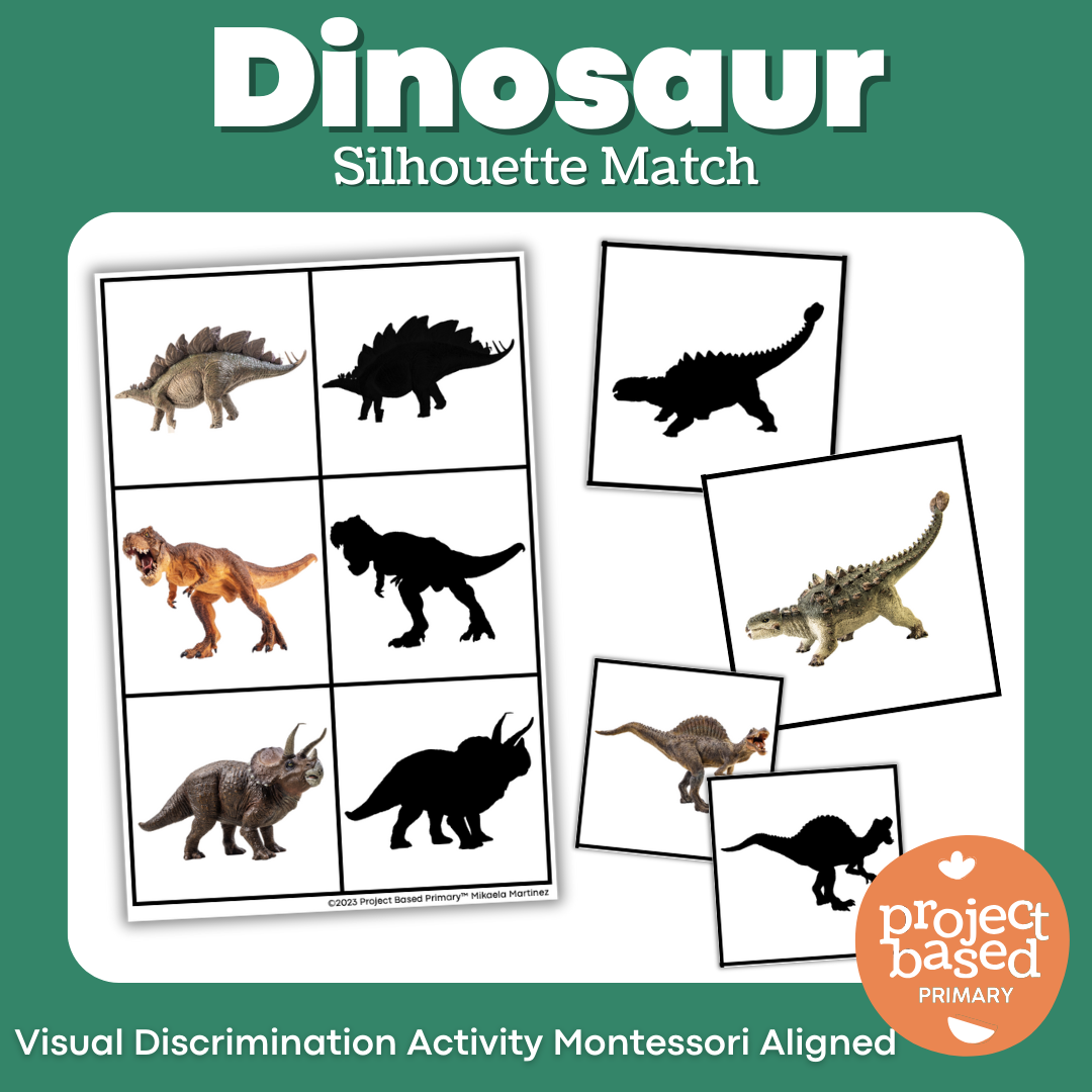 Dinosaur Silhouette Match