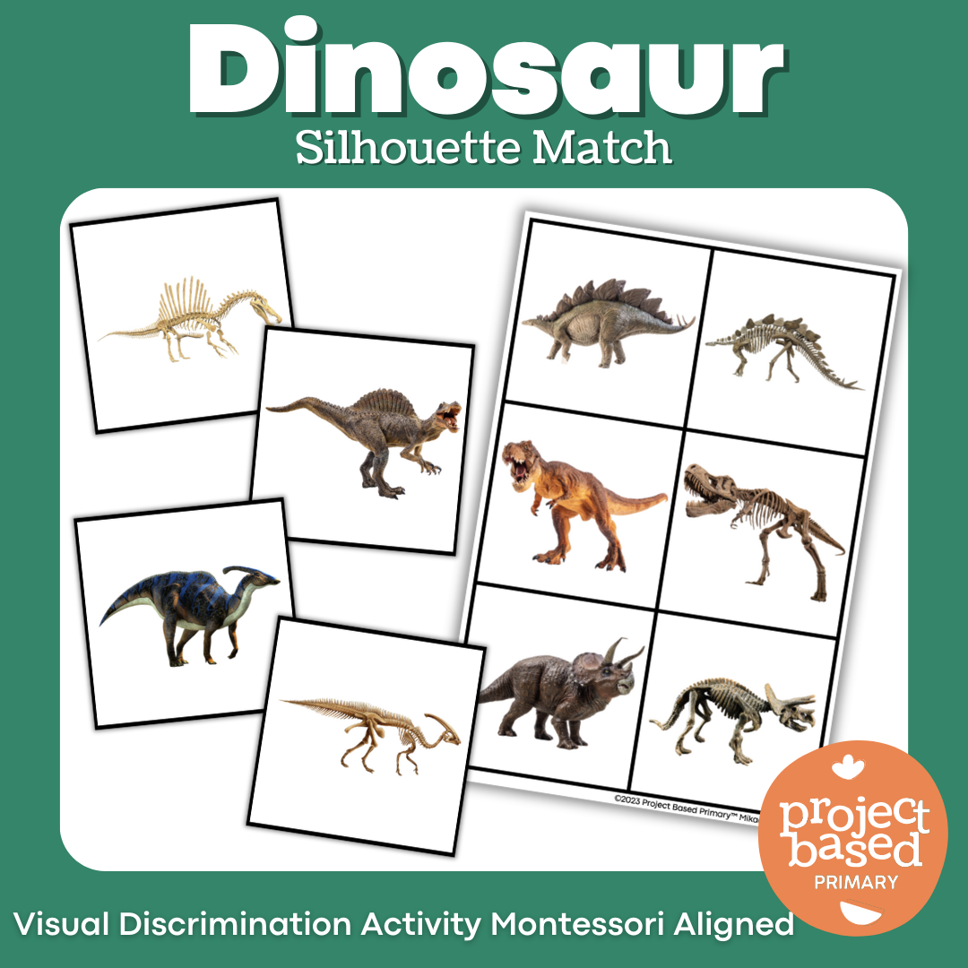 Dinosaur Skeleton Match – Project Based Primary