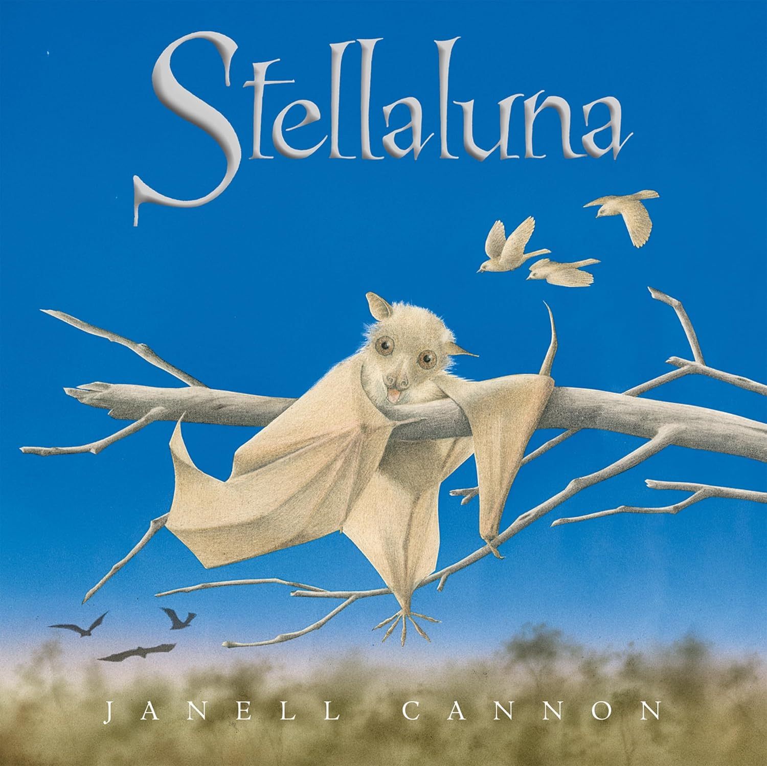 Stellaluna Belonging in Books™ Reading Comprehension Week-Long Unit