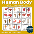 Human Body 3 Part Cards
