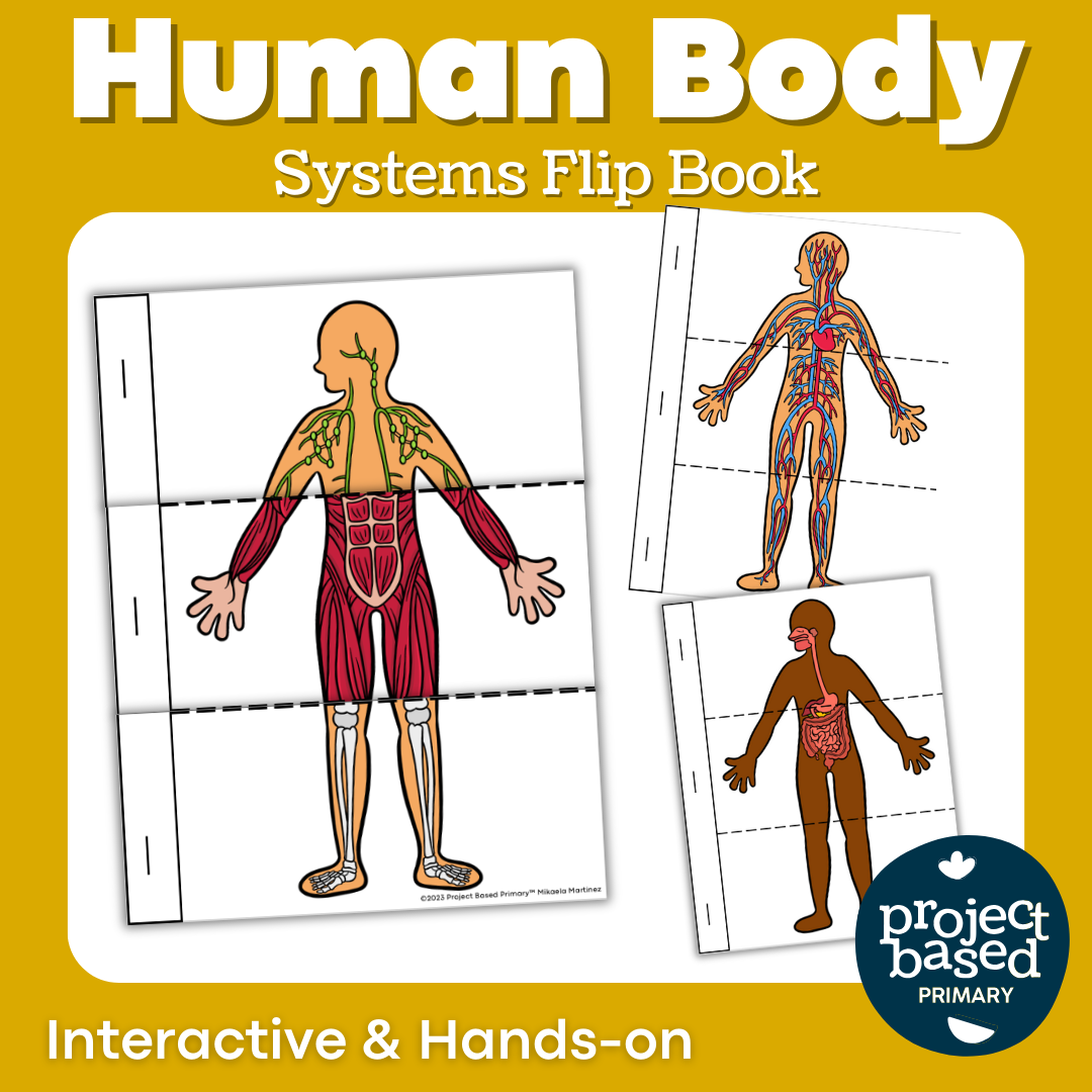 Human Body Flip Book